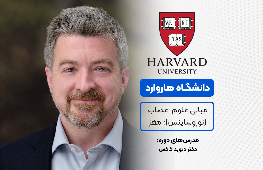 مبانی علوم اعصاب دانشگاه هاروارد در مجموعه فرامدرک