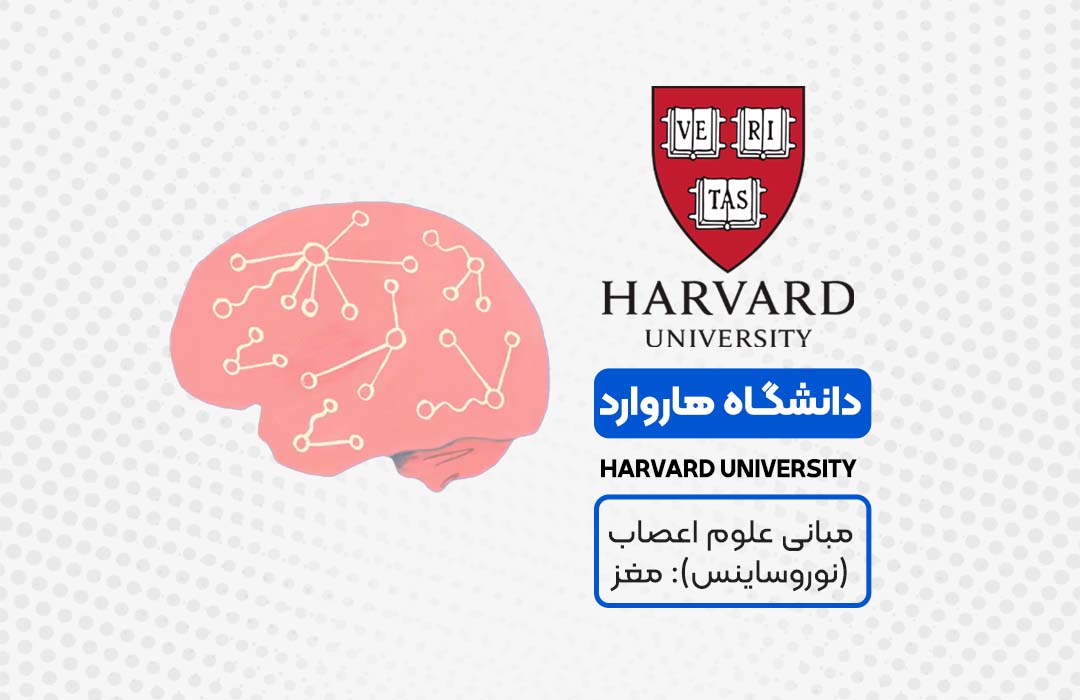 مبانی علوم اعصاب: مغز - دانشگاه هاروارد در مجموعه فرامدرک