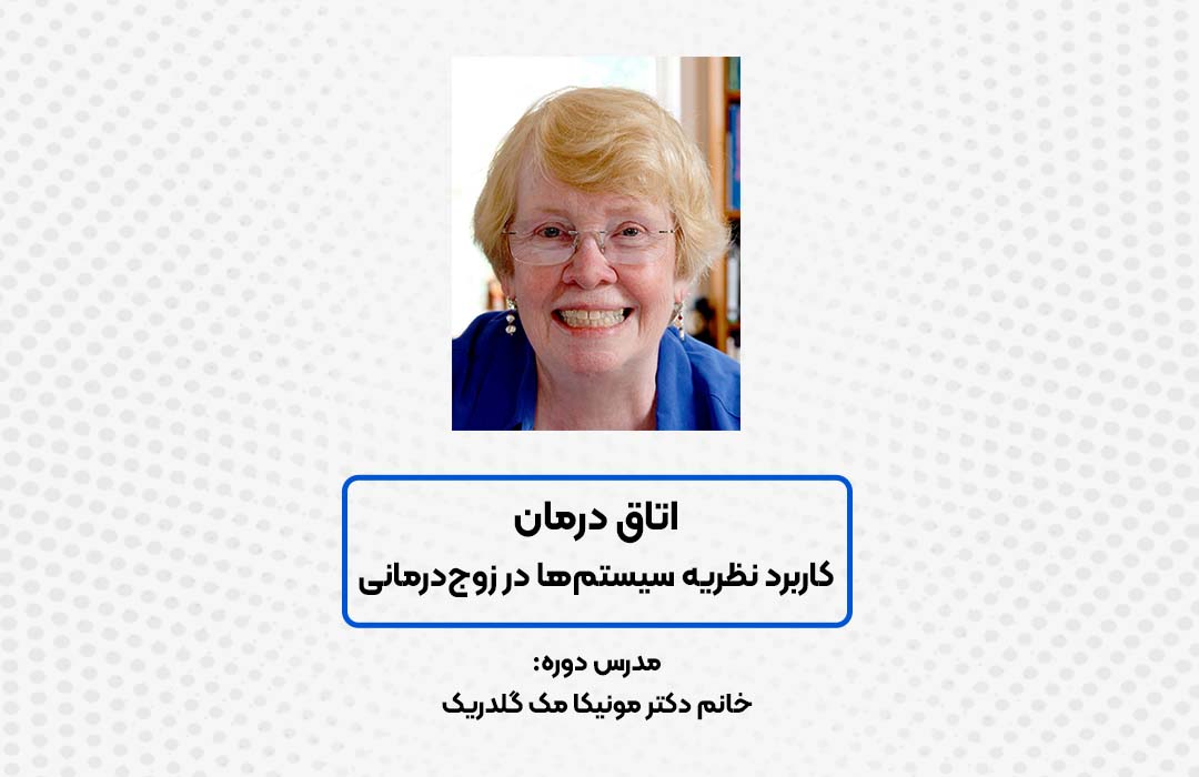 کاربرد نظریه سیستم‌ها در آکادمی بین المللی فرامدرک