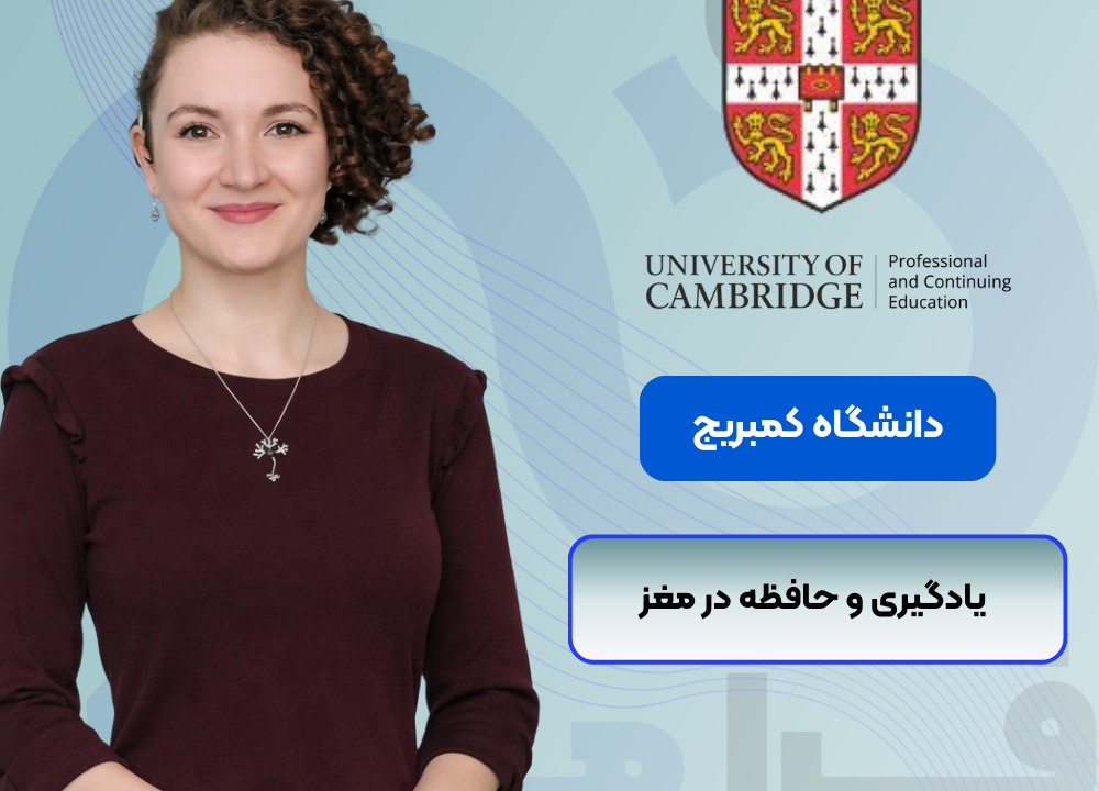 یادگیری و حافظه در مغز کمبریج